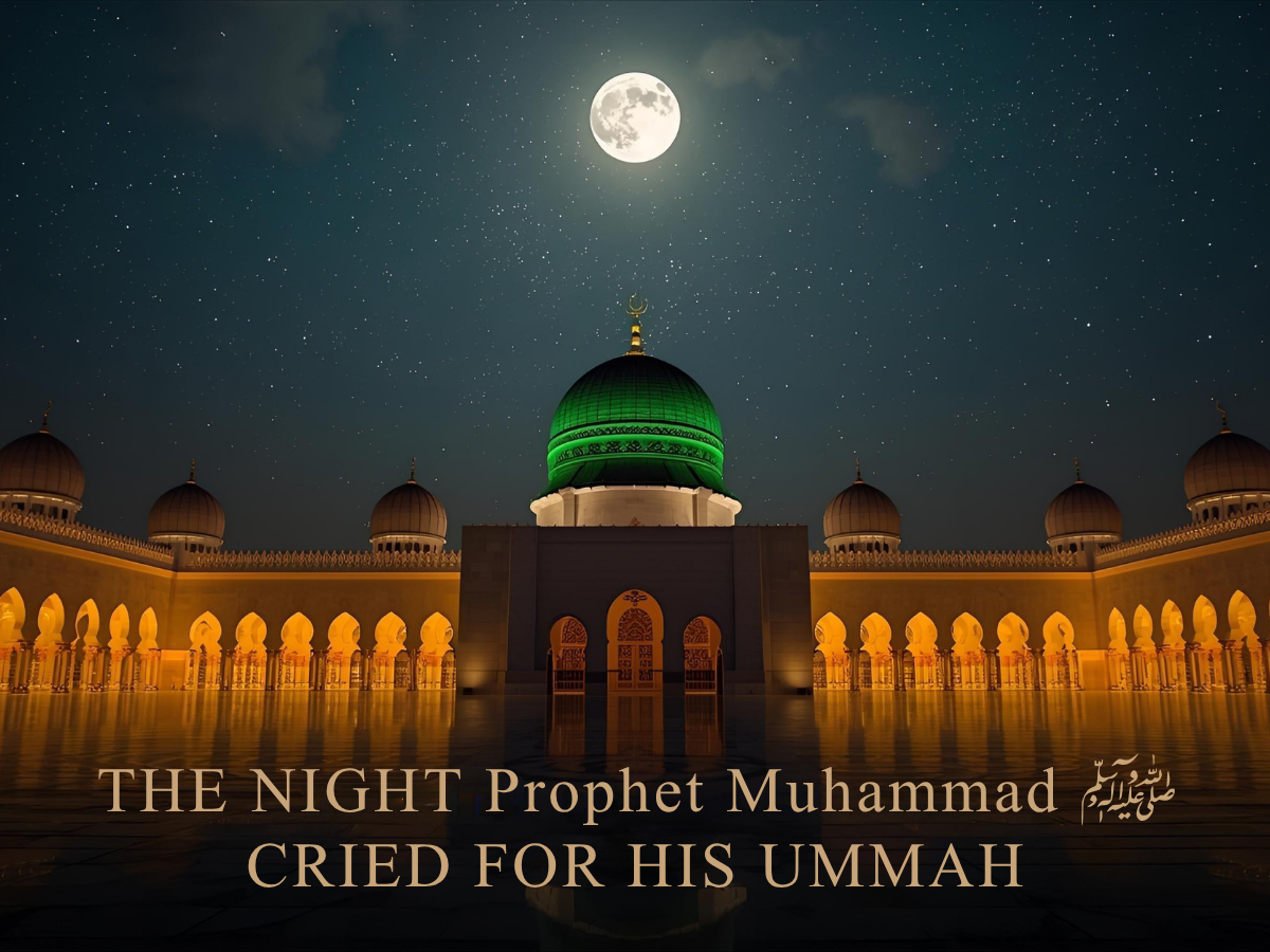Night Our Prophet